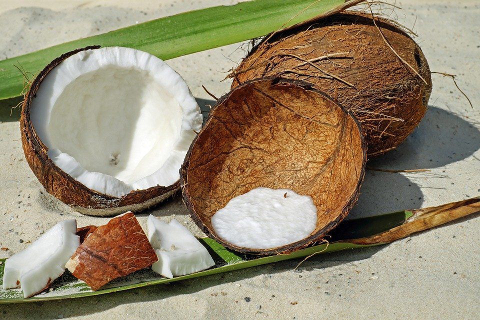 Кокосовий субстрат для домашніх рослин — що це таке, для чого він потрібен і як застосовувати. Навіщо додають кокосовий субстрат в землю для кімнатних рослин.