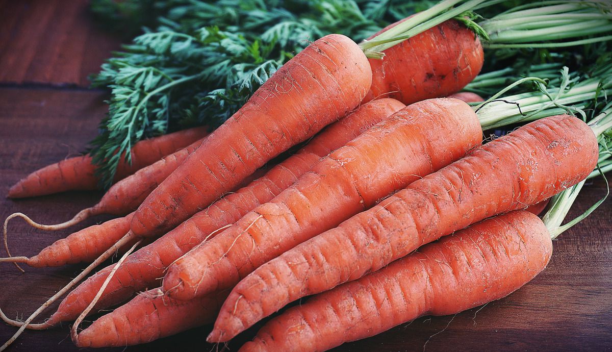 Чому морква зростає зеленою і як цього можна уникнути. Морква зростає зеленою з кількох причин.