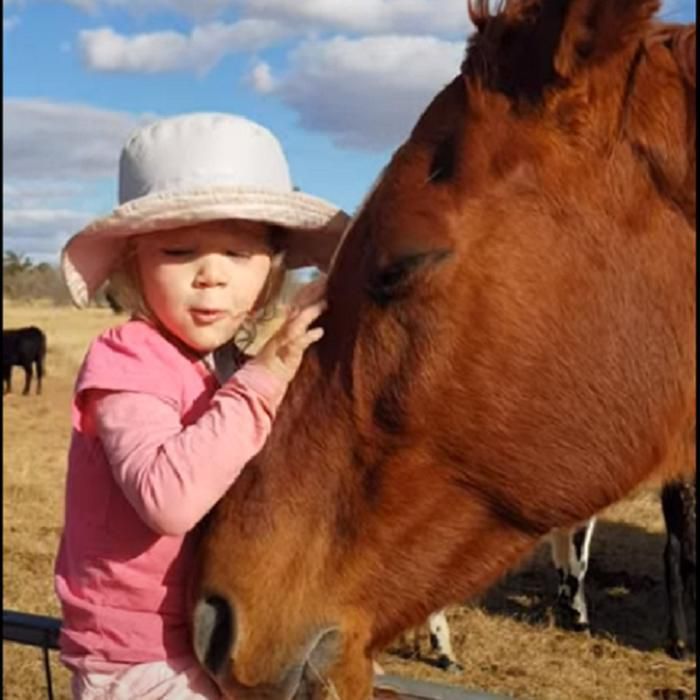 Трирічна дівчинка дуже любить коней і заспівала їм пісню, від якої вони зомліли від задоволення. Як мило!