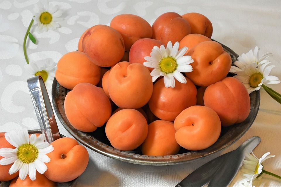 Яку користь для організму приносять абрикоси. Абрикоси дуже корисні для здоров'я.