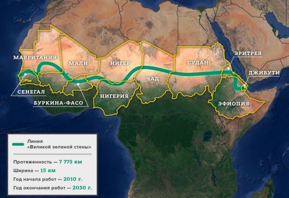 Проєкт «Зелена стіна» в Африці знаходиться під загрозою через брак води. Висадку Великої Зеленої стіни хочуть завершити до 2030 року.