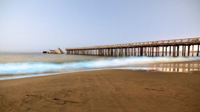 На пляжі в Каліфорнії природа влаштувала справжнє світлове шоу: неймовірні кадри потрапили на відео. Уздовж берегової лінії в окрузі Санта-Круз (США) помітили дивовижне видовище.