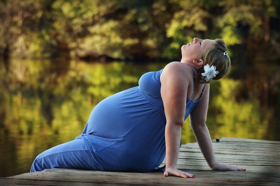 Ожиріння матері при вагітності погіршує моторику та інтелект синів — експерти. Зайва вага у вагітних має виражений вплив на формування плоду.