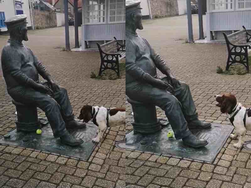 Чарівний пес по кличці Честер спробував пограти в м'яч зі статуєю, яку помилково прийняв за людину. Його навіть трохи шкода. Стільки зусиль і все марно!