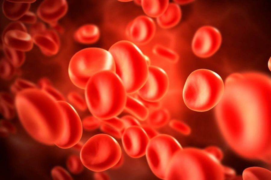 Схильність до яких хвороб визначається за групою крові. Деякі хвороби частіше розвиваються у людей з певною групою крові.