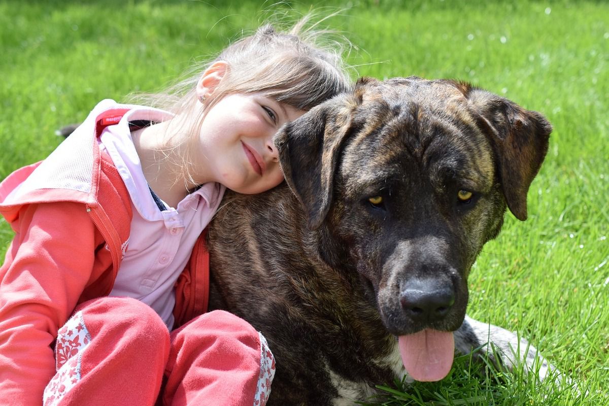 Чому собака не любить дітей — експерти виділили 5 можливих причин. Далеко не всі собаки люблять дітей.