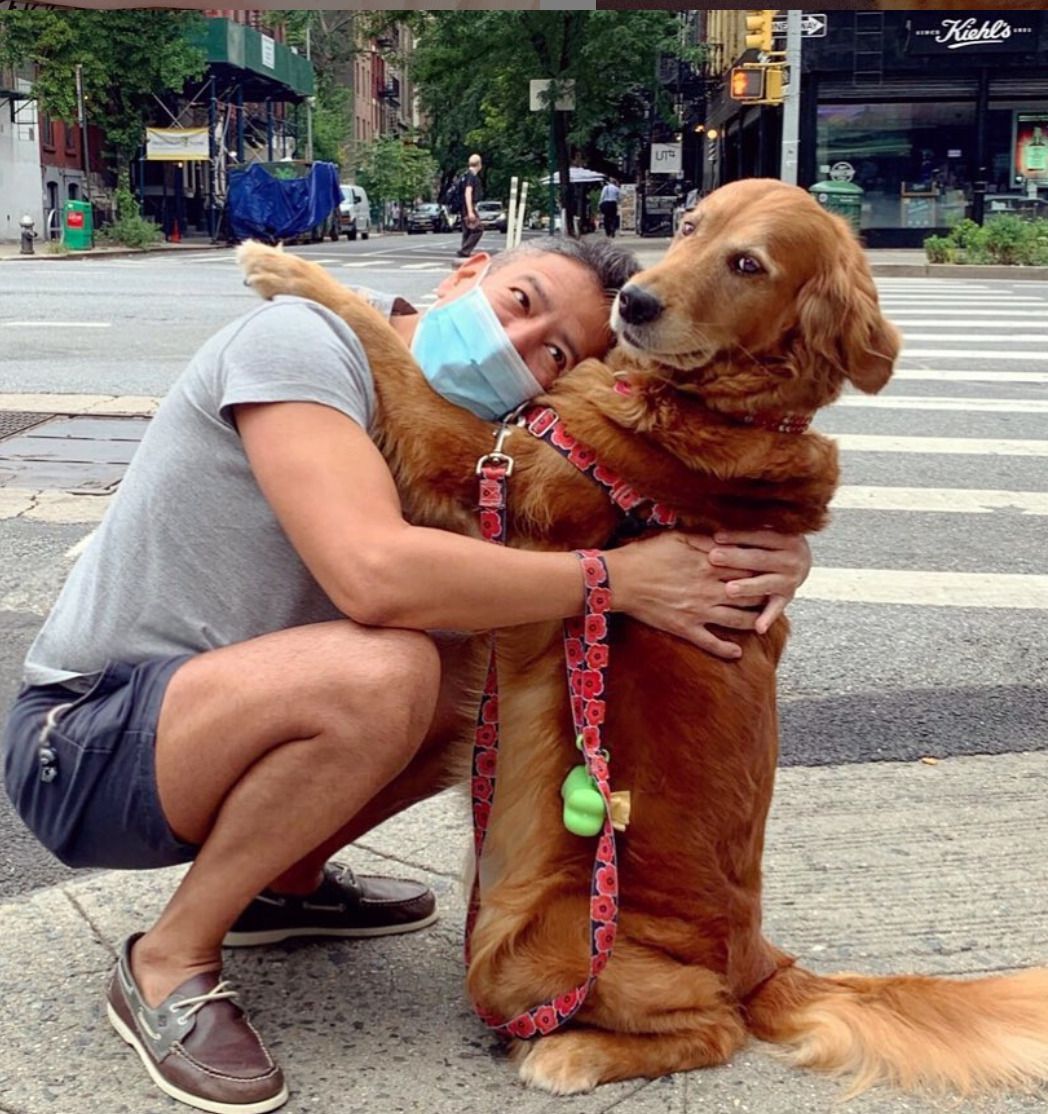 Собака обожнює обійми і жоден незнайомець не може їй відмовити у цьому. Обіймаючи людей, собака робить їх щасливими.