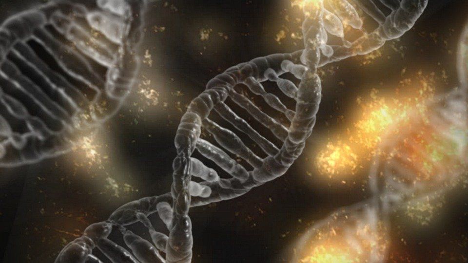 Таємничий предок: в геномі людини знайдена чужа ДНК. В наших генах присутня ДНК невідомого архаїчного виду.