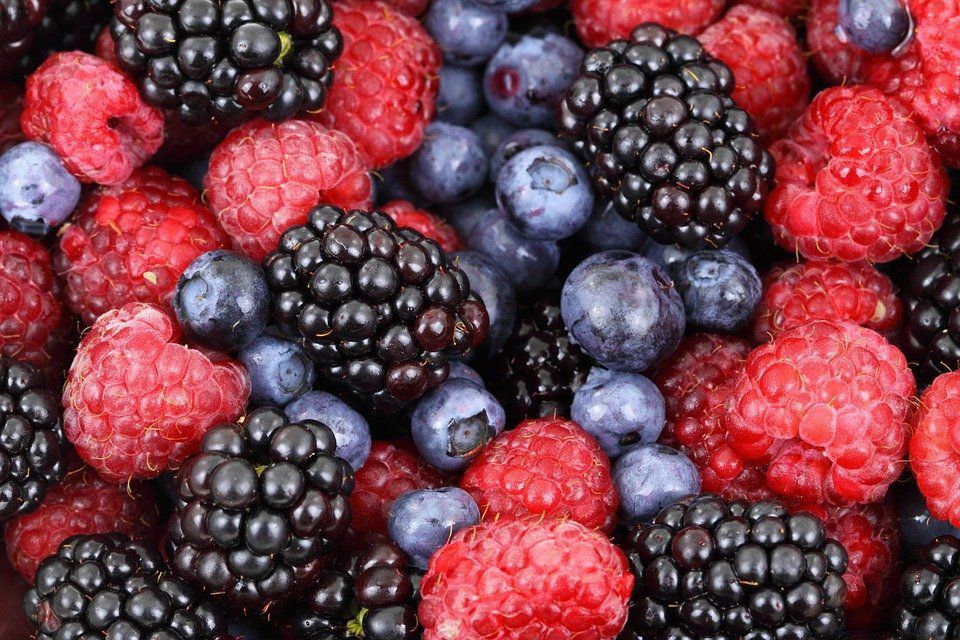 Хочете мати міцне здоров'я — обов'язково посадіть ці ягоди на своїй ділянці. Ягоди, які врятують вас від хвороб.