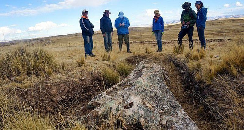 Вчені виявили на півдні Перу скам'янілий ліс, похований під попелом вулкана близько 10 млн років тому. Колись пустелі в Андах були лісами.