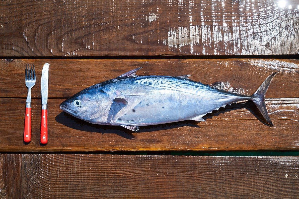 Секрети кулінарів, які допоможуть швидко і акуратно почистити рибу від луски. Шість ефективних способів чищення риби.