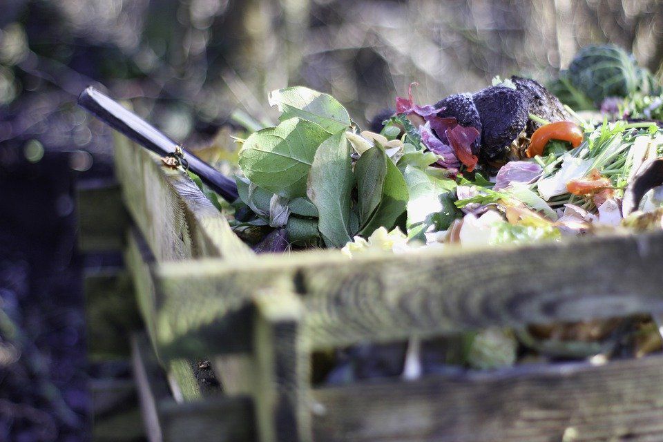 Найкраще застосування рослинних залишків після збору врожаю на дачі. Рослинне сміття можна використати з користю.