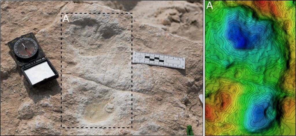 У Саудівській Аравії помічено сліди, яким 120 тисяч років — вчені розповіли, про що вони свідчать. Відбитки ніг було знайдено поблизу озера Алатар.