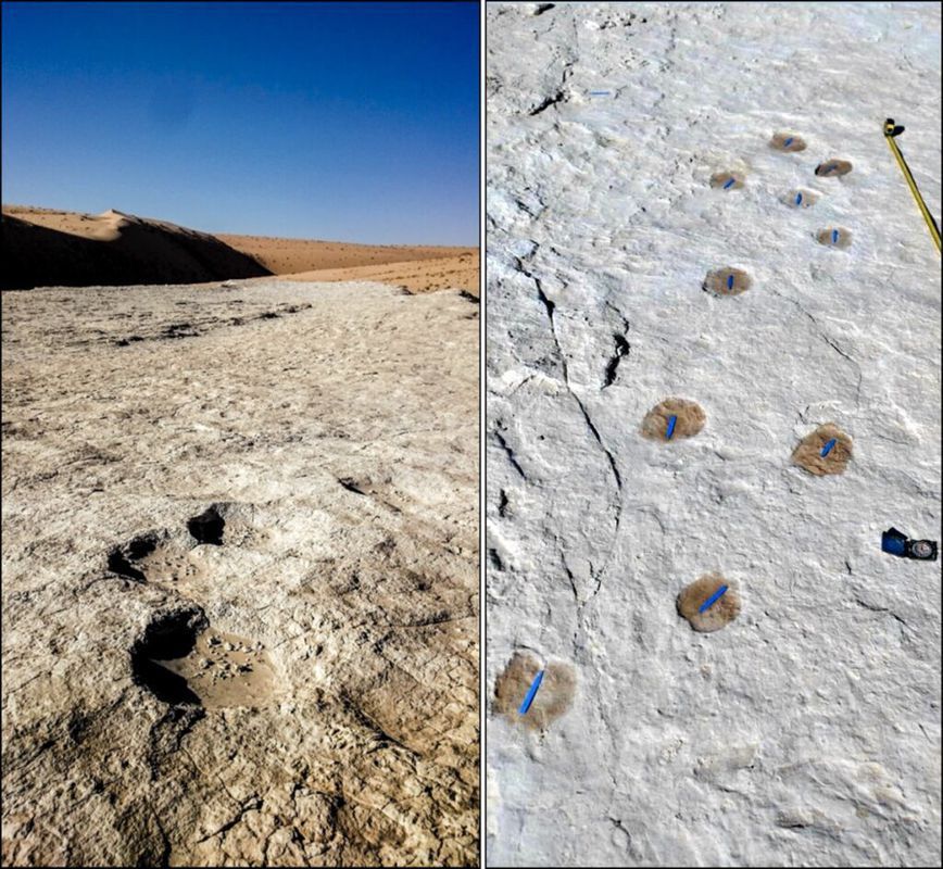 У Саудівській Аравії помічено сліди, яким 120 тисяч років — вчені розповіли, про що вони свідчать. Відбитки ніг було знайдено поблизу озера Алатар.