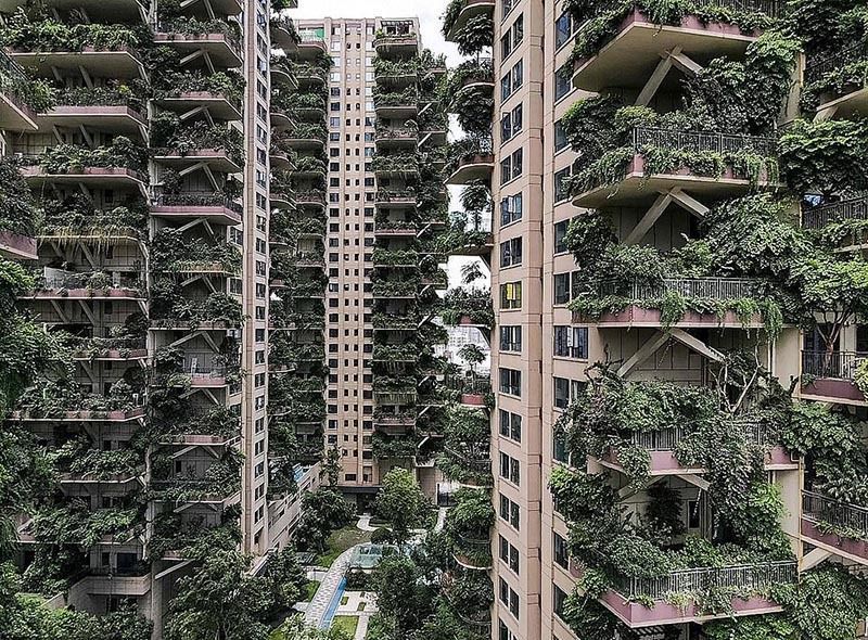Замість райського саду — кадри з постапокаліптичного фільму: в Китаї унікальний житловий комплекс перетворився в джунглі з комарами. Мешканці відмовилися жити в райському куточку, тому що дерева, покликані зробити революцію в міському житті, приваблюють хмари комарів.