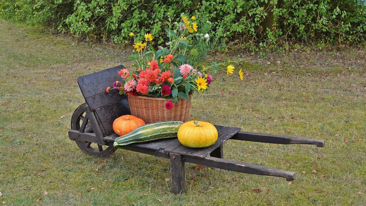 Як оживити сад та квітник восени: 5 цікавих способів. Додаємо яскравих фарб осінньому саду та прикрашаємо квітник.