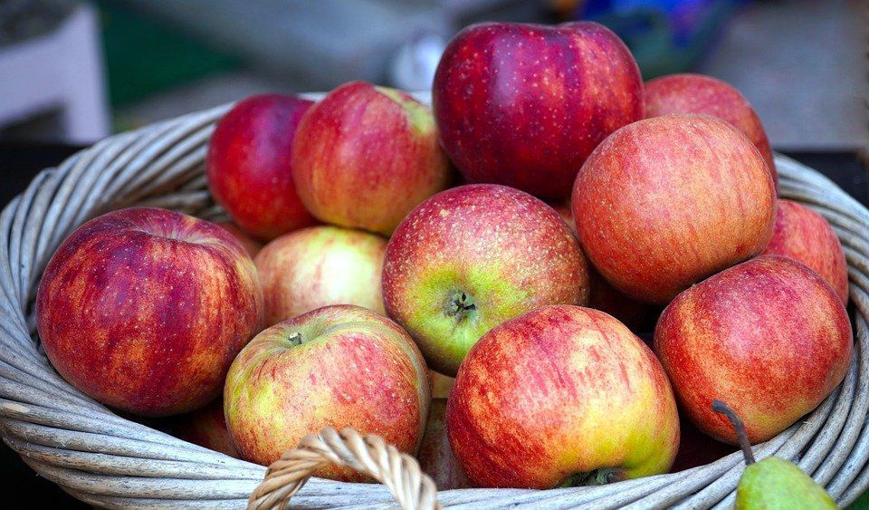 Зберігання яблук: основні помилки, які знижують лежкість зібраних плодів взимку. 5 головних помилок при зберіганні яблук.