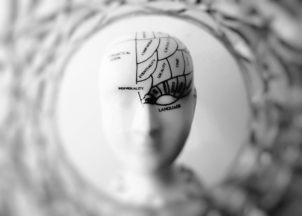 Австралійські вчені виявили приховані думки у людському мозку. Для цього науковці провели дослідження, залучивши 15 добровольців.