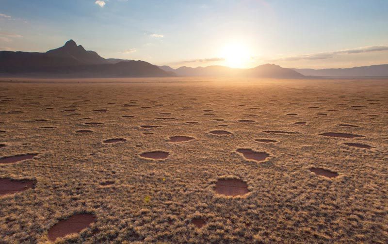Загадка виникнення «чарівних кіл Намібії» в пустелі розгадана з завдяки математичній теорії. Наукова теорія готова дати пояснення одному з найзагадковіших явищ природи — так званим "чарівним колам" в Намібії.