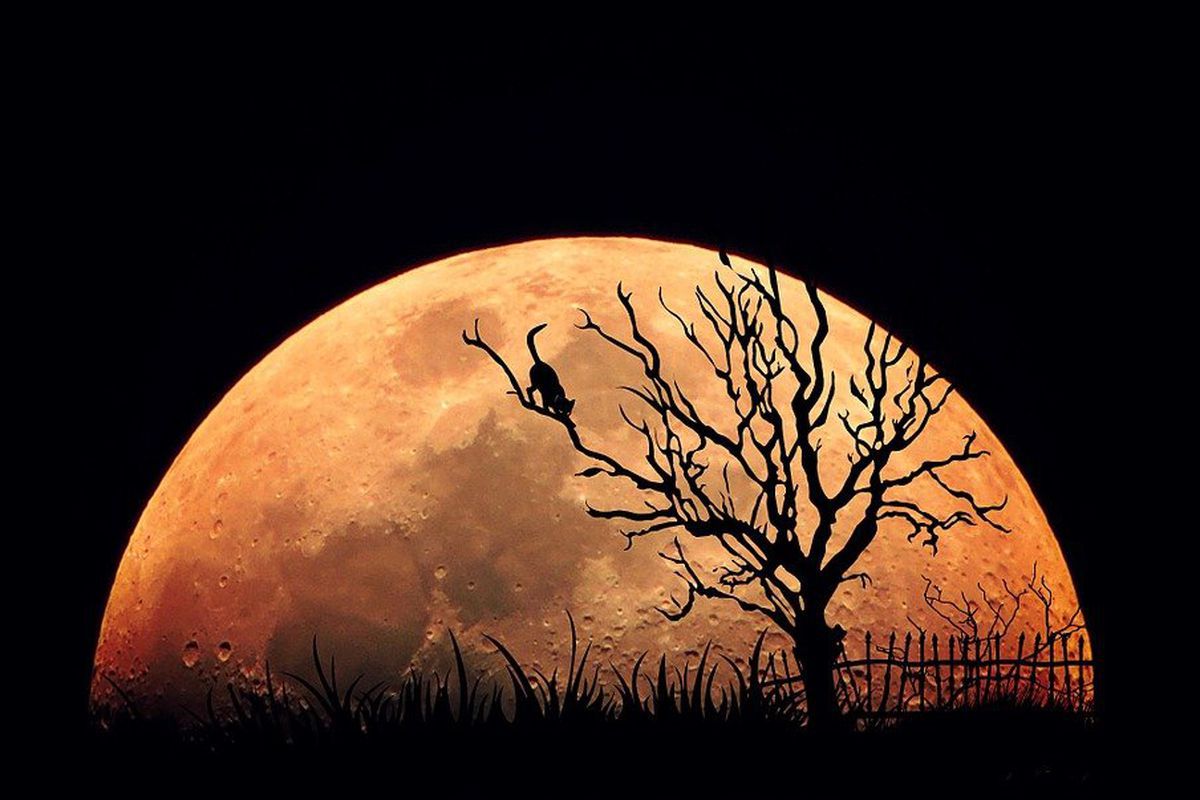 Вплив Повного Місяця на жінок: прикмети і забобони пов'язані з даним місячним днем. Чому жінкам не можна дивитися на Повний Місяць.