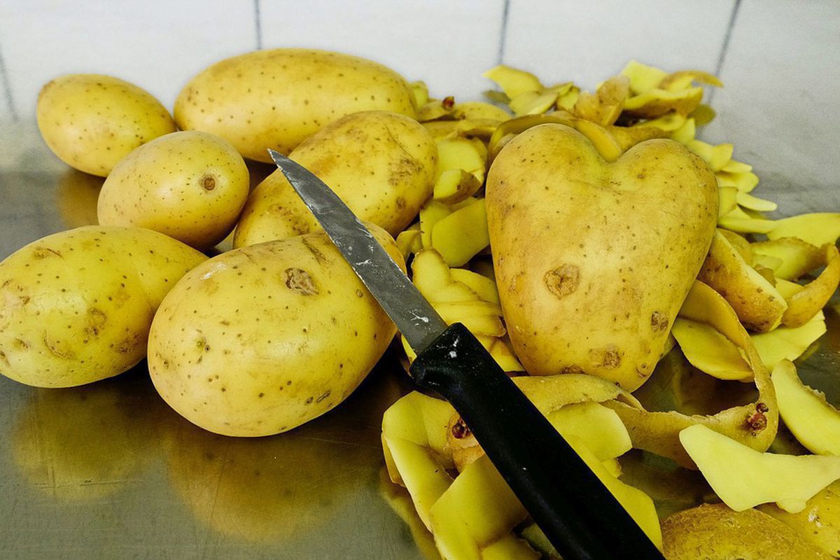 Чи варто класти картоплю та її очистки під кущі смородини та навіщо це робити. Картопля та її очистки можуть принести чимало користі смородині.
