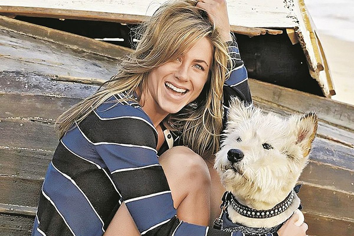 Дженніфер Еністон зворушила Мережу відео своєї нової собаки. Актриса завела цуценя.