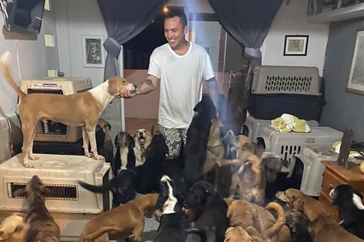 Герой нашого часу: мексиканець врятував 300 тварин від жахливого урагану, поселивши їх у себе вдома. В його будинку сховалися від стихії собаки, коти, кози і навіть кури.