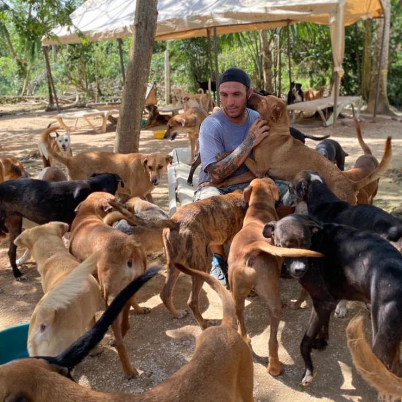 Герой нашого часу: мексиканець врятував 300 тварин від жахливого урагану, поселивши їх у себе вдома. В його будинку сховалися від стихії собаки, коти, кози і навіть кури.