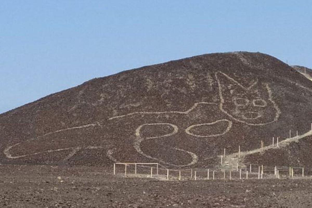 У Перу виявили 37-метрове зображення кішки віком понад 2 тисячі років. Зображення під загрозою зникнення через природну ерозію.