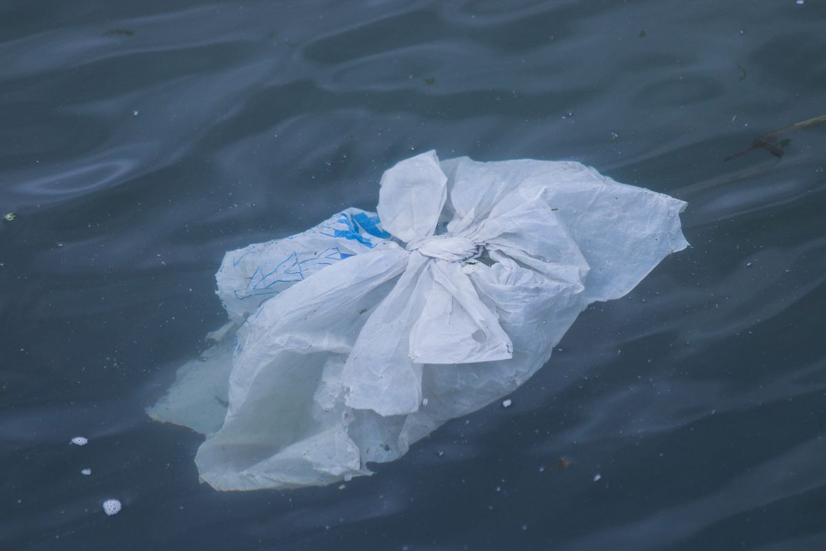 Вчені зробили невтішні висновки щодо пластикових відходів викинутих у воду. Що відбувається з пластиковими пакетами на дні океану.