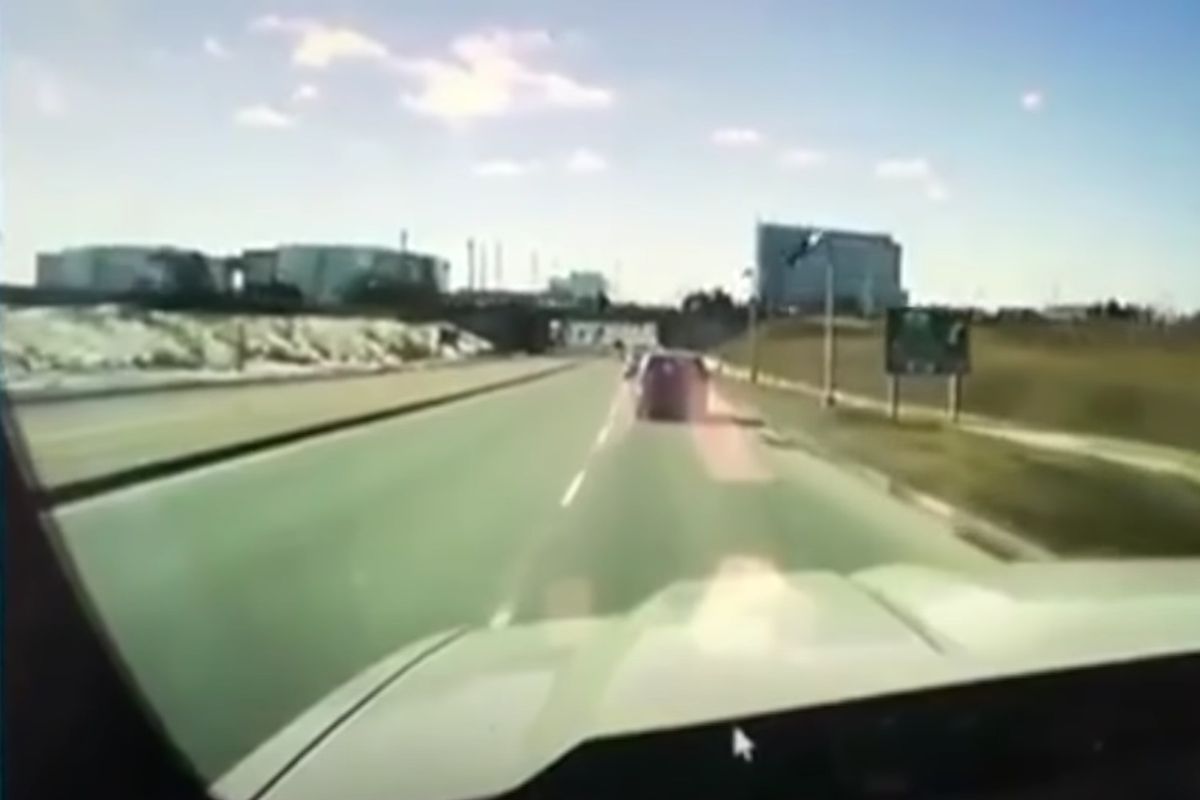 Водій просто їхав на машині, як раптом його підрізав вкрай несподіваний учасник дорожнього руху. Відео з дуже несподіваним сюжетом.