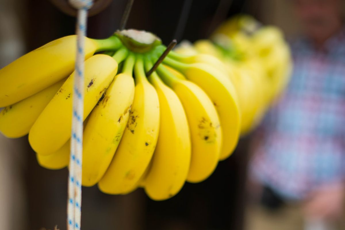 Дізнавшись це, ви більше ніколи не будете викидати шкірку від бананів. У шкірці міститься дуже багато вітамінів і мікроелементів.