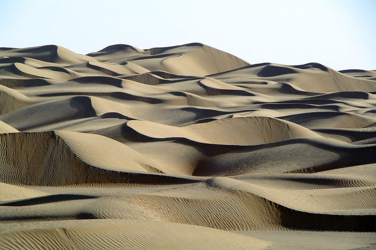 Центральна Азія в найближчому майбутньому ризикує перетворитися в пустелю. Це призведе до незворотних змін і втрати біорізноманіття.