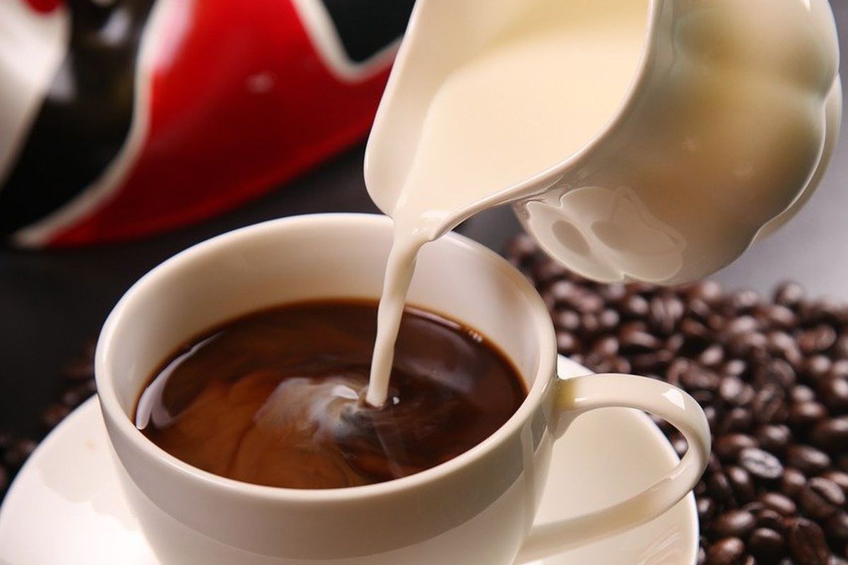 Чому останнім часом все більшою популярністю користується кава з безлактозним молоком. Чому кавоману краще пити каву з молоком, яке не містить лактозу.