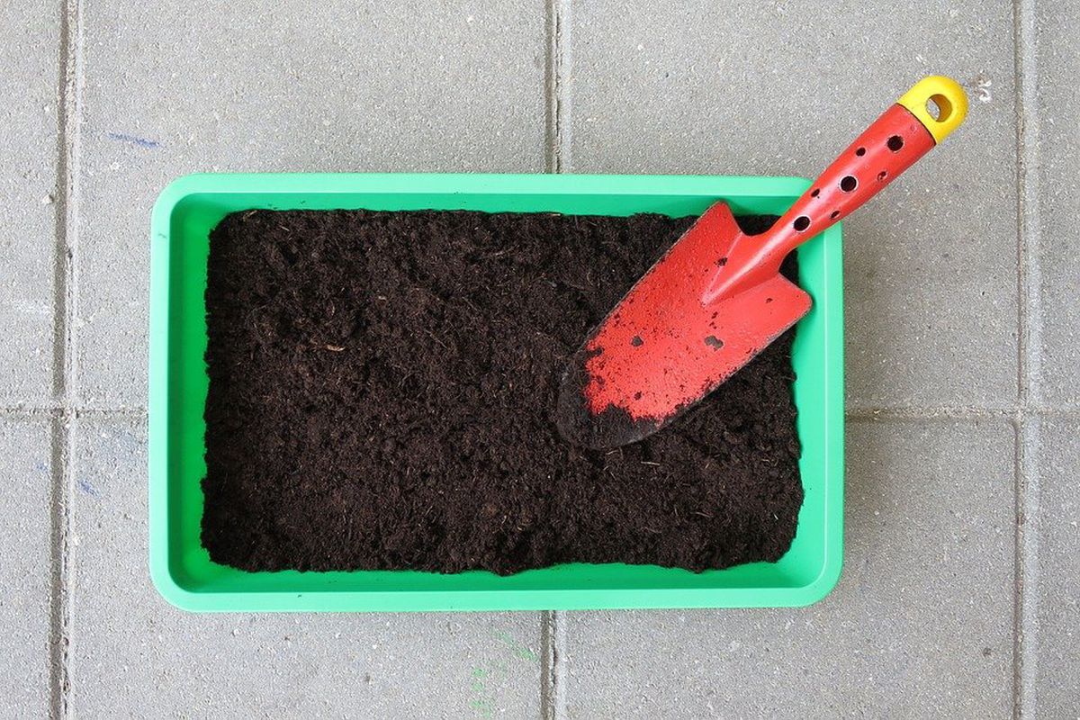 За допомогою яких підручних засобів можна визначити кислотність ґрунту. 7 народних методів визначення кислотності ґрунту.