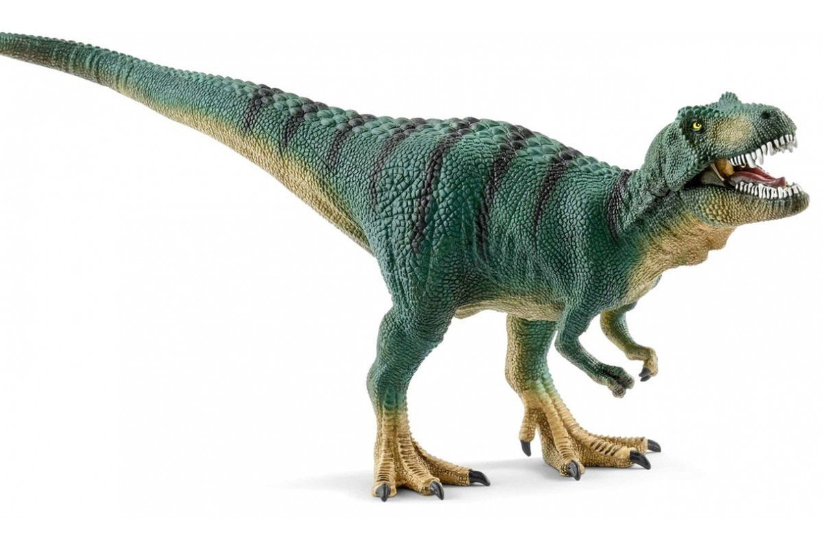 У музеї США з'явився повний скелет найвідомішого у світі динозавра, який загинув у бою з іншим гігантом. У скелеті тиранозавра збереглося майже 100% кісток.