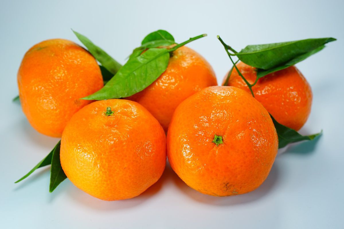 Що буде, якщо постійно їсти оранжеві продукти. Користь і шкода від постійного вживання помаранчевих продуктів.