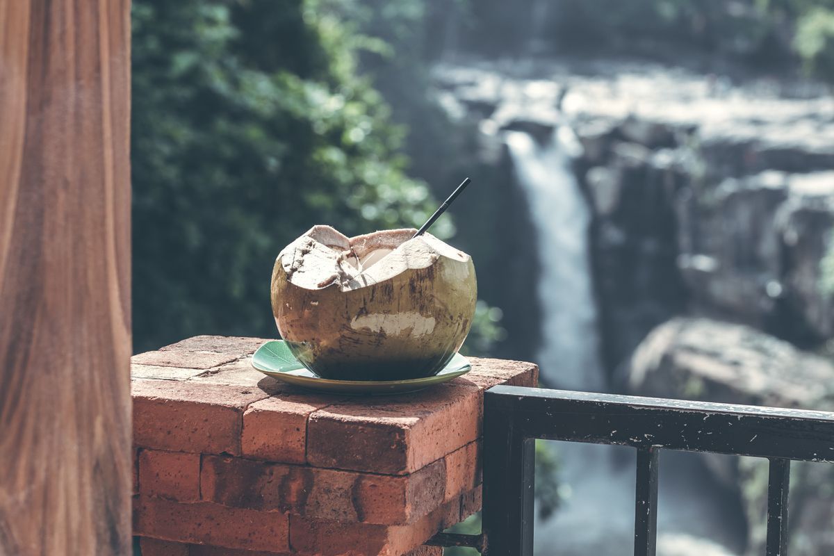 Чим може бути корисною і шкідливою для організму кокосова вода. Кокосова вода може бути не лише корисною, але й шкідливою для здоров'я людини.