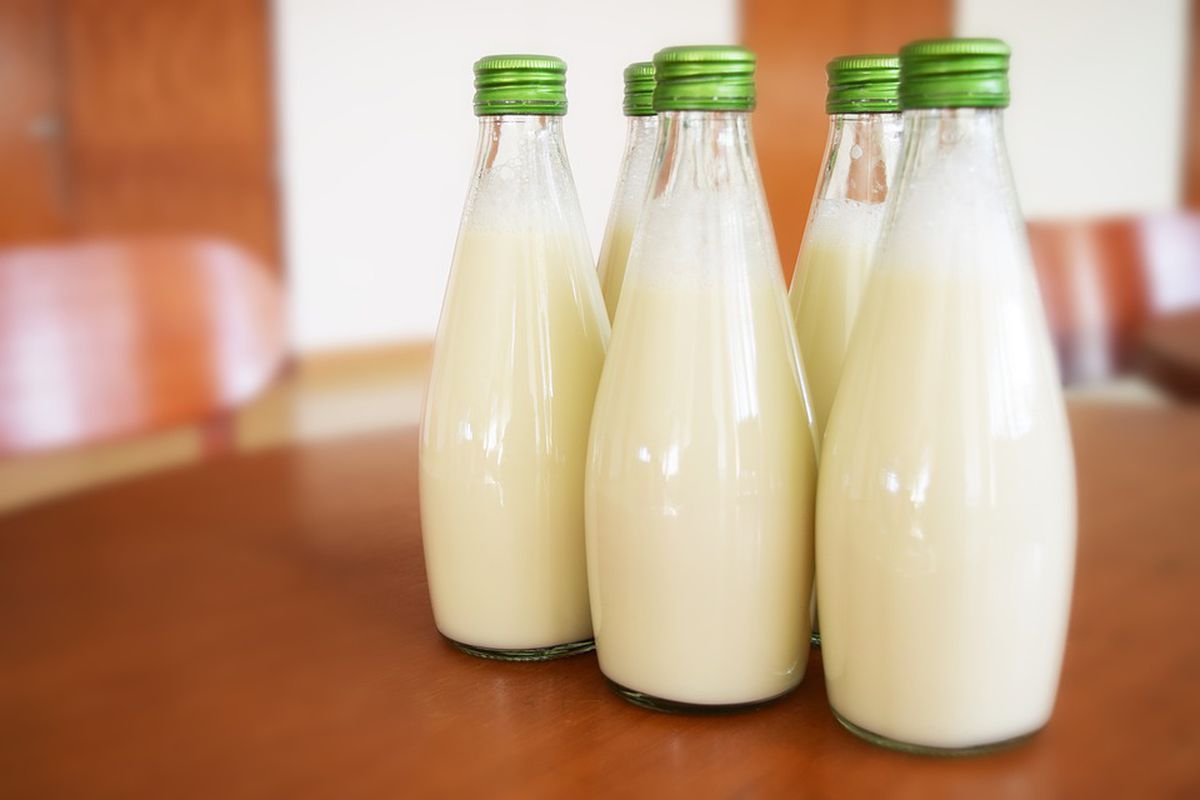 Як і скільки зберігати молоко і кисломолочні продукти. Чому варто звертати увагу на терміни магазинної продукції.