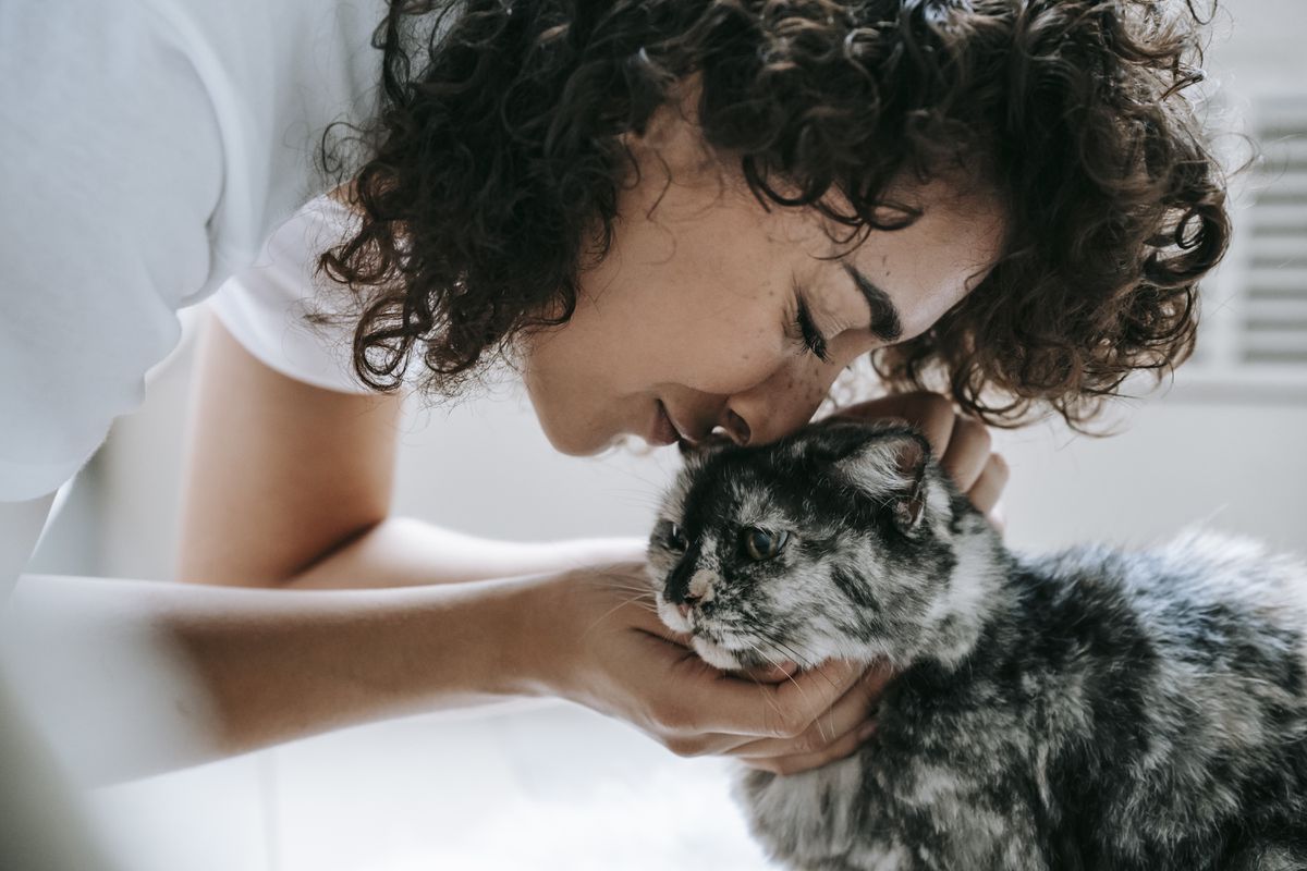 Кілька цікавих фактів про жінок і кішок, які ще не усі знають. Жінки та кішки "товаришують" не просто так.