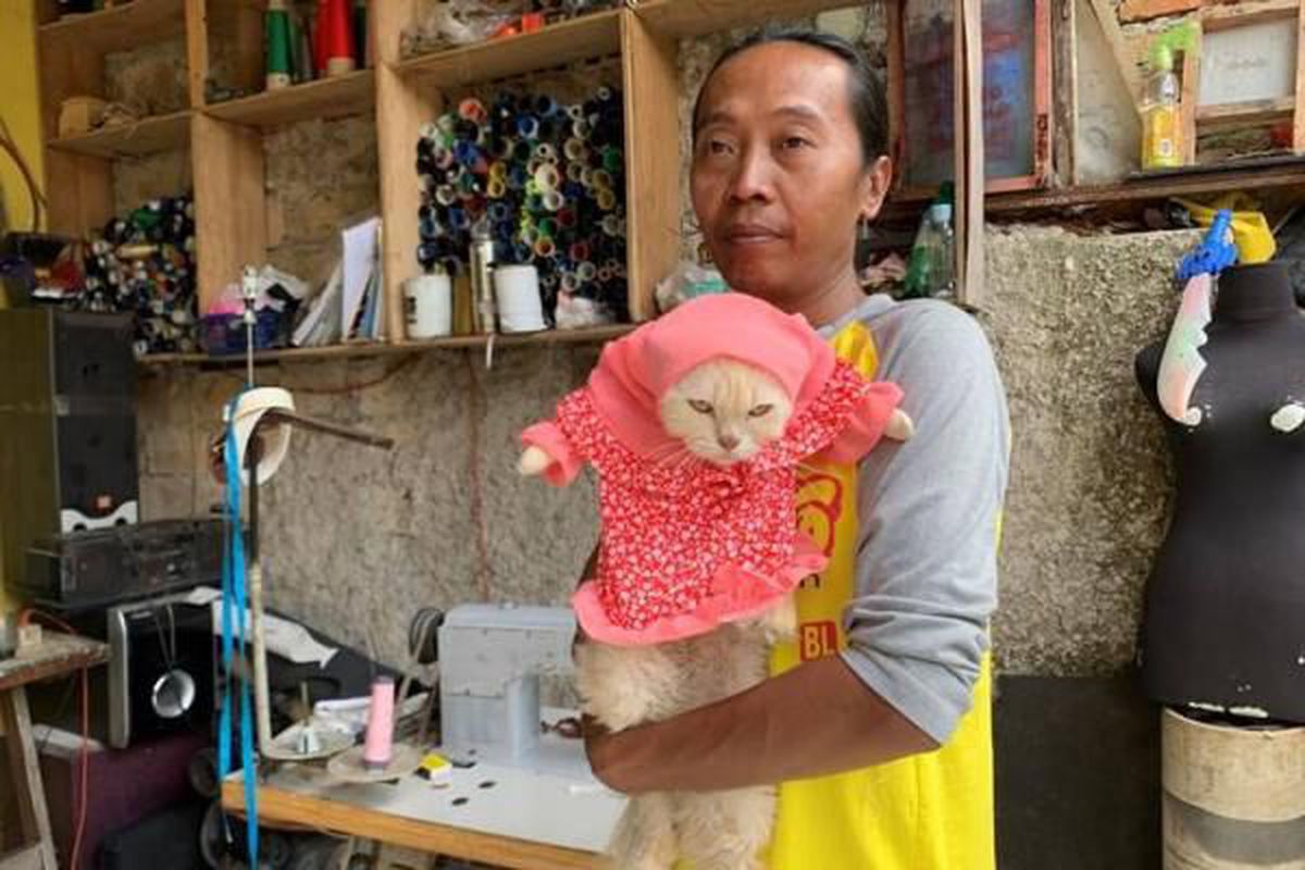 Колишній вчитель присвятив життя новій справі — тепер він створює одяг не гірше за кутюр'є, але не для людей, а для пухнастих клієнтів. Житель Індонезії вирішив шити одяг для кішок. Тепер у нього черга з клієнтів.
