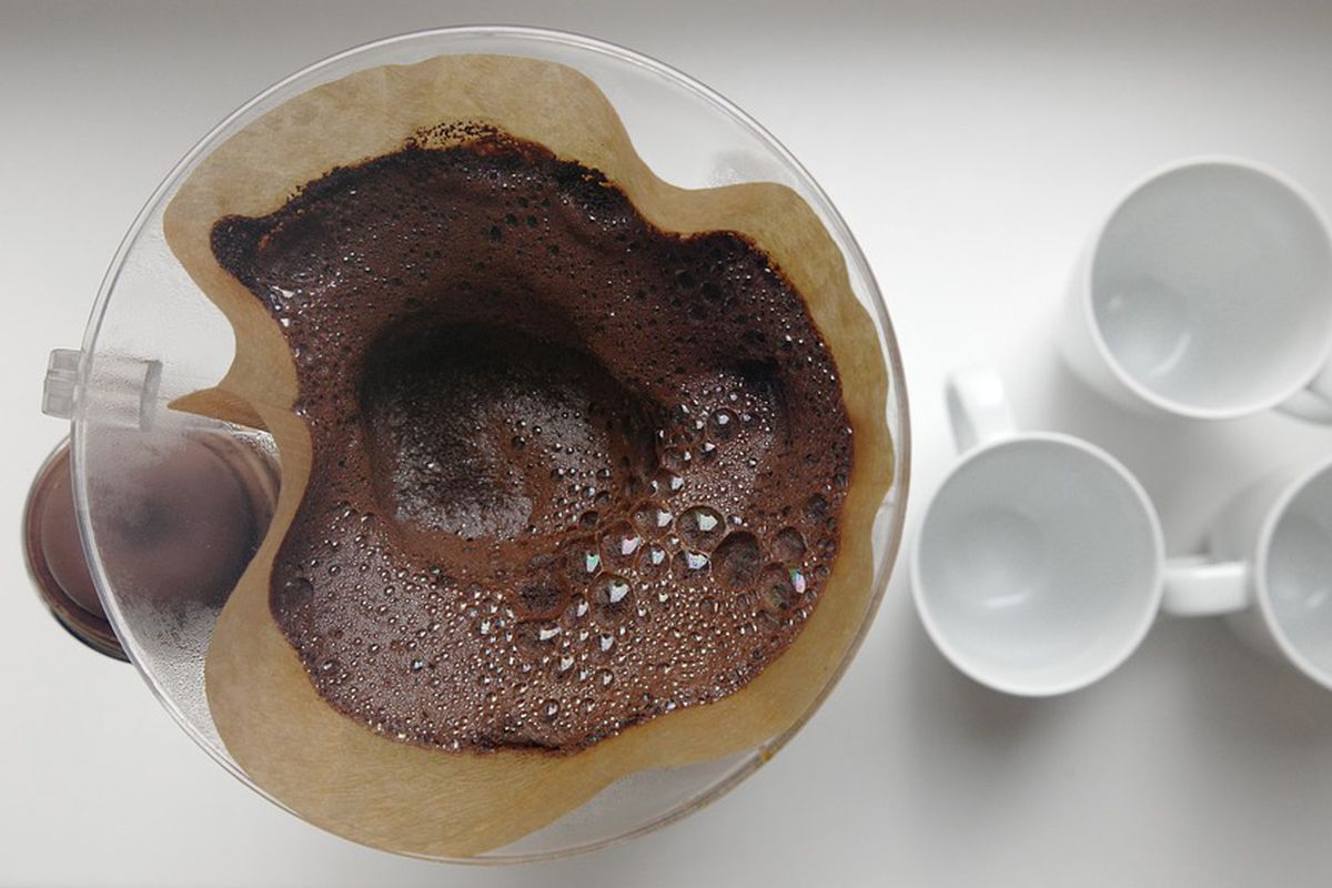 5 причин використання кавової гущі в якості добрива для рослин. Вона допоможе швидко впоратися зі шкідниками і оздоровити квітку.