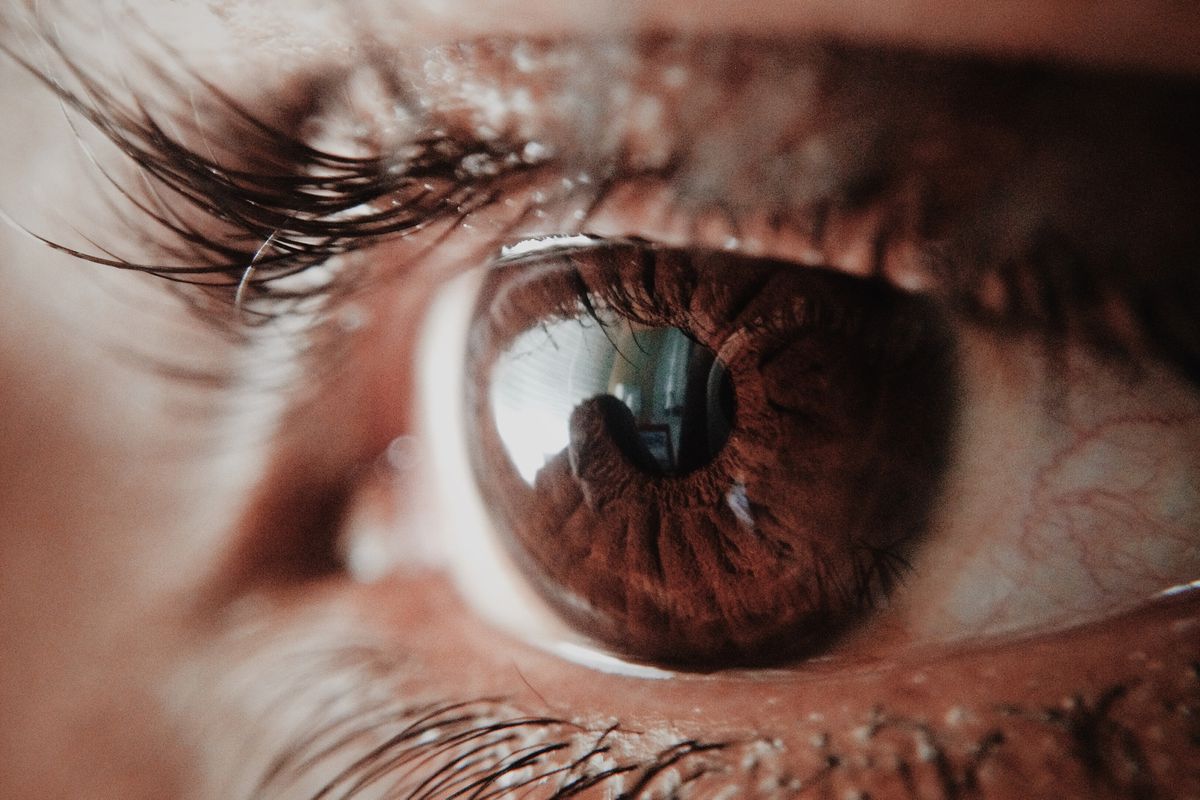 Нідерландські вчені знайшли спосіб, як частково повернути зір осліплим людям. Він підійде тільки для людей, які втратили зір через травму сітківки чи зорового нерва.