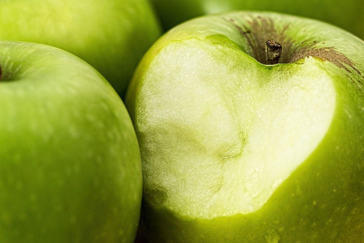 4 дієвих способи зберігання зимових сортів яблук аж до весни. Важливу роль в тривалому зберіганні яблук грає вірно обраний сорт фруктів.