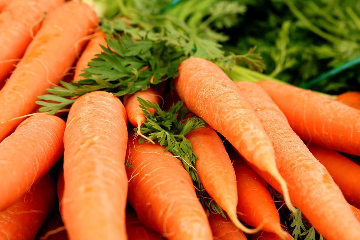 Вчені виявили, що морква корисна не для всіх. Майже 50% населення не здатне отримувати вітамін А з моркви.