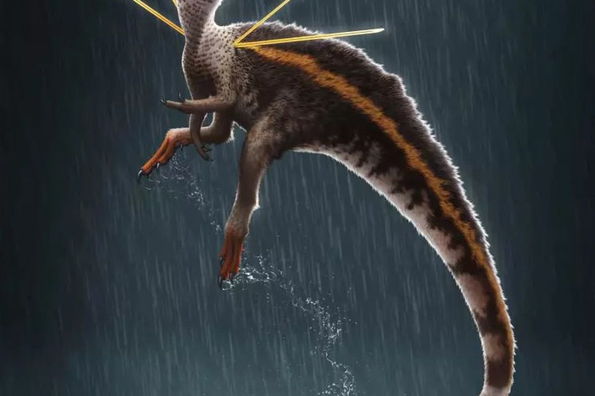 У Бразилії палеонтологи знайшли новий вид динозавра з декоративними шипами на плечах. Вони жили понад 110 мільйонів років тому.