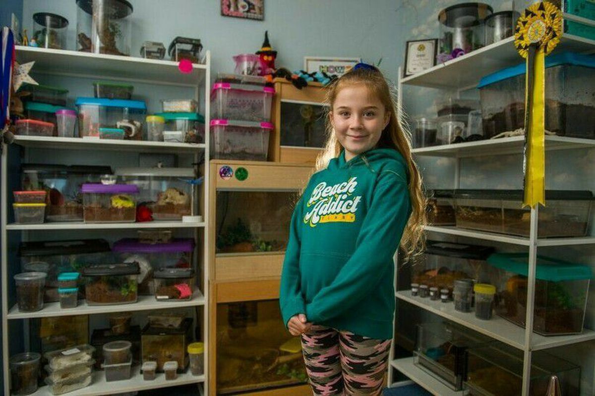 Дівчинці з Великобританії вісім років, але вона обожнює павуків, тарганів і змій, перетворивши дитячу кімнату в тераріум. Юна натуралістка мріє працювати в зоопарку і знімати передачі про тварин.