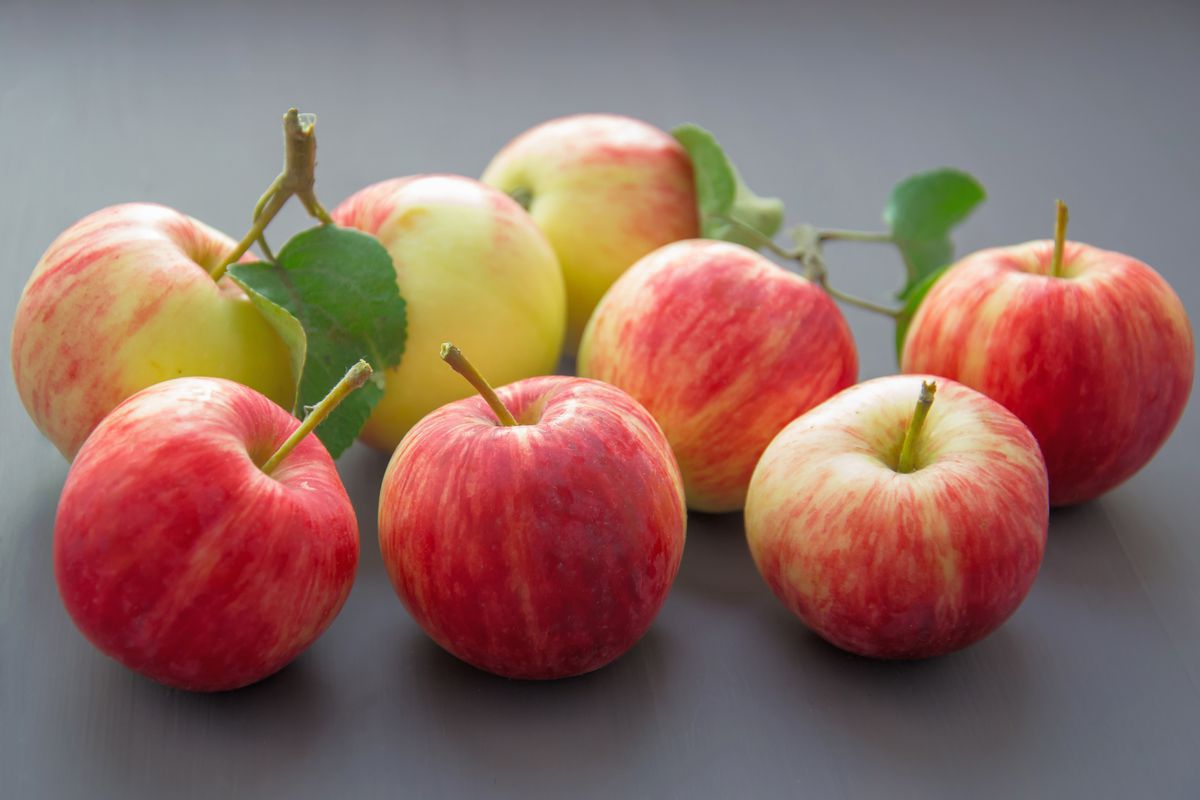 Чому яблука можуть бути небезпечними для здоров'я людей. Не завжди яблука можуть бути лише корисними для здоров'я.