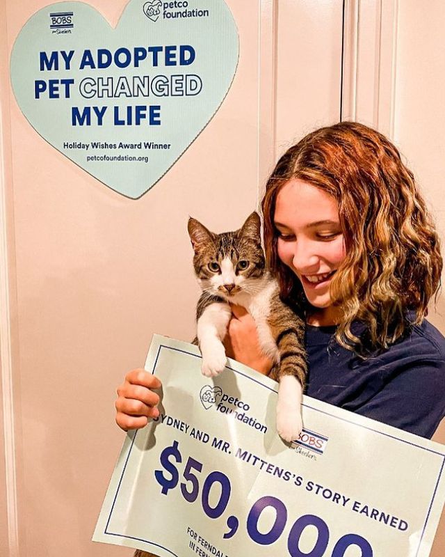 Дівчинка написала зворушливе есе про те, як її кіт допомагає їй долати неприємну недугу. Завдяки цьому вона непогано збагатилася. У конкурсному есе дівчинка написала про те, як її кіт турбується про неї, що принесло їй цілих 50 тисяч доларів.