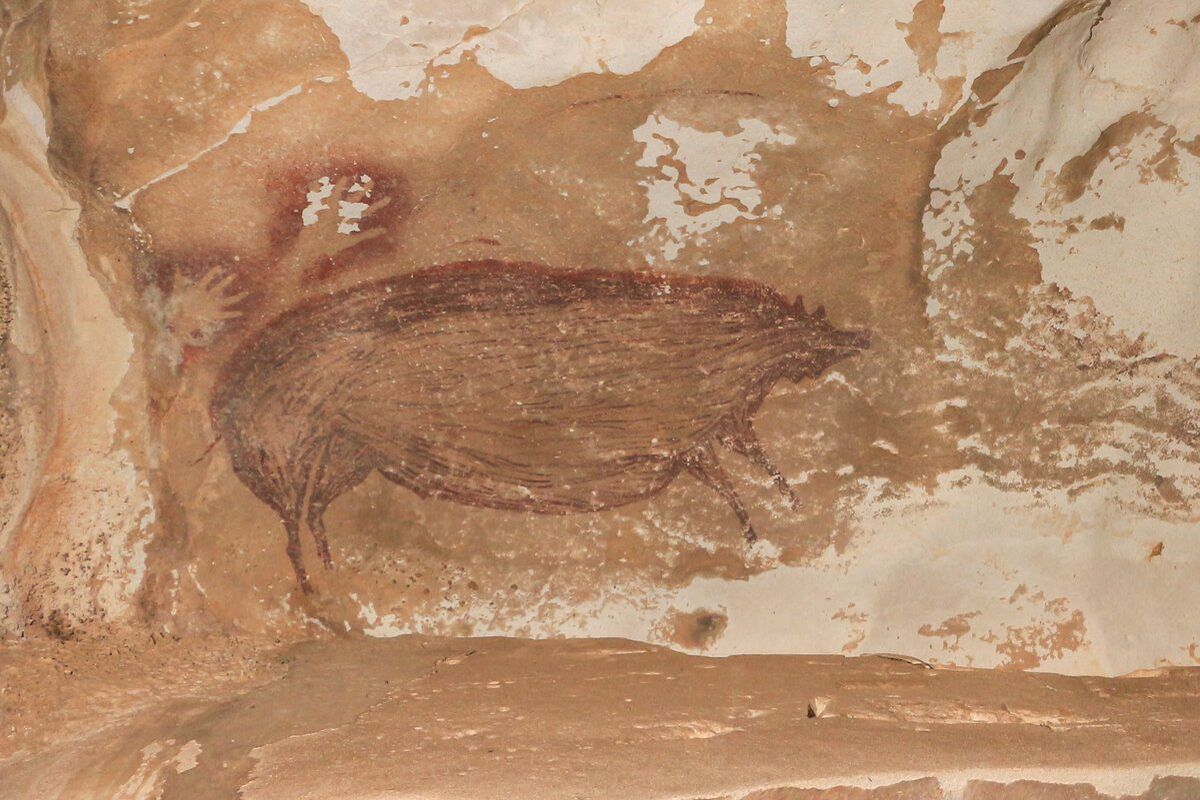 В Індонезії знайшли наскельні зображення свині, зроблені 45 тисяч років тому. Це найдавніший малюнок тварини.